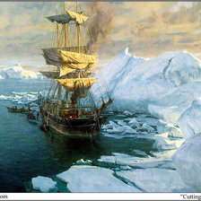 Схема вышивки «Арктика»