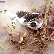 Схема вышивки «Гуси»