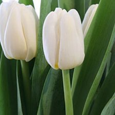 Схема вышивки «№916714»