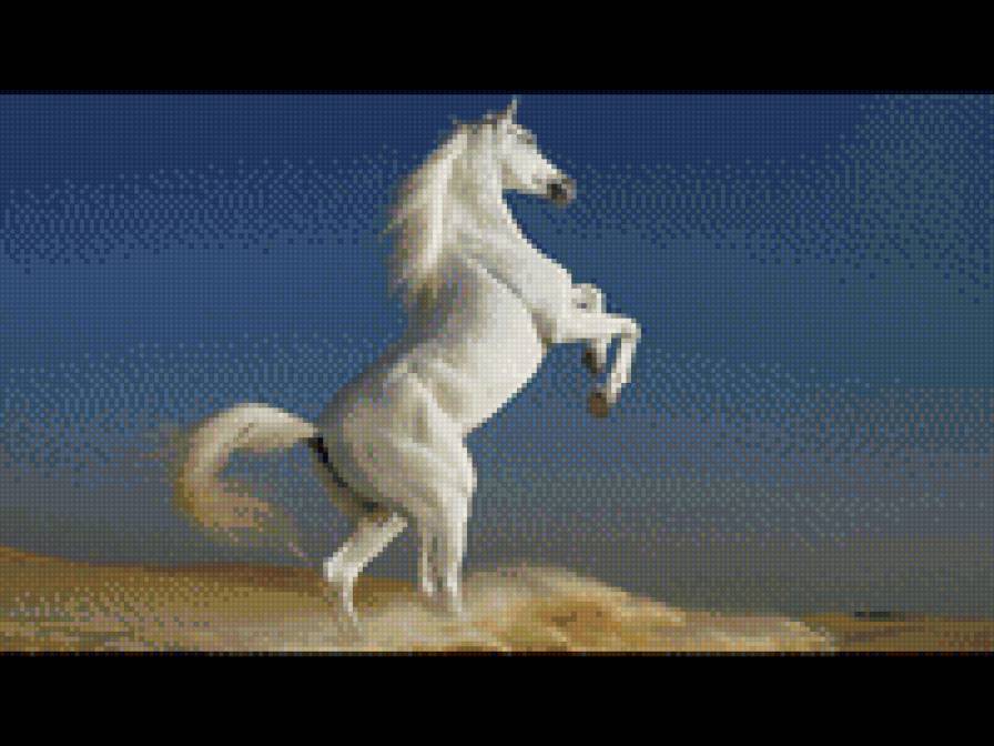 №916715 - предпросмотр