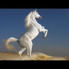 Схема вышивки «№916715»