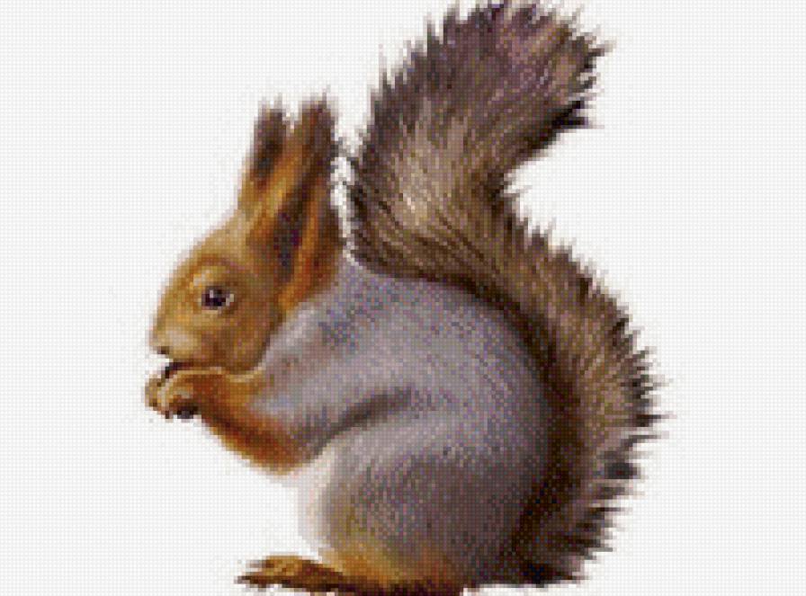 №916726 - предпросмотр