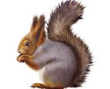 Схема вышивки «№916726»