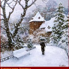 В старом парке. Заснежило.