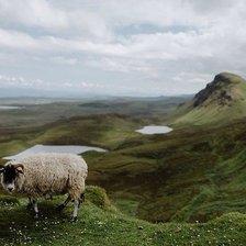 Горный пейзаж