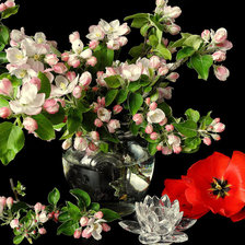 Схема вышивки «№916977»