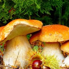 Схема вышивки «№917006»