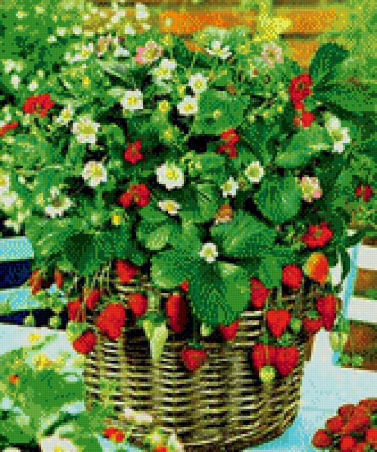 Земляника - ягоды, земляника, букет, корзинка - предпросмотр