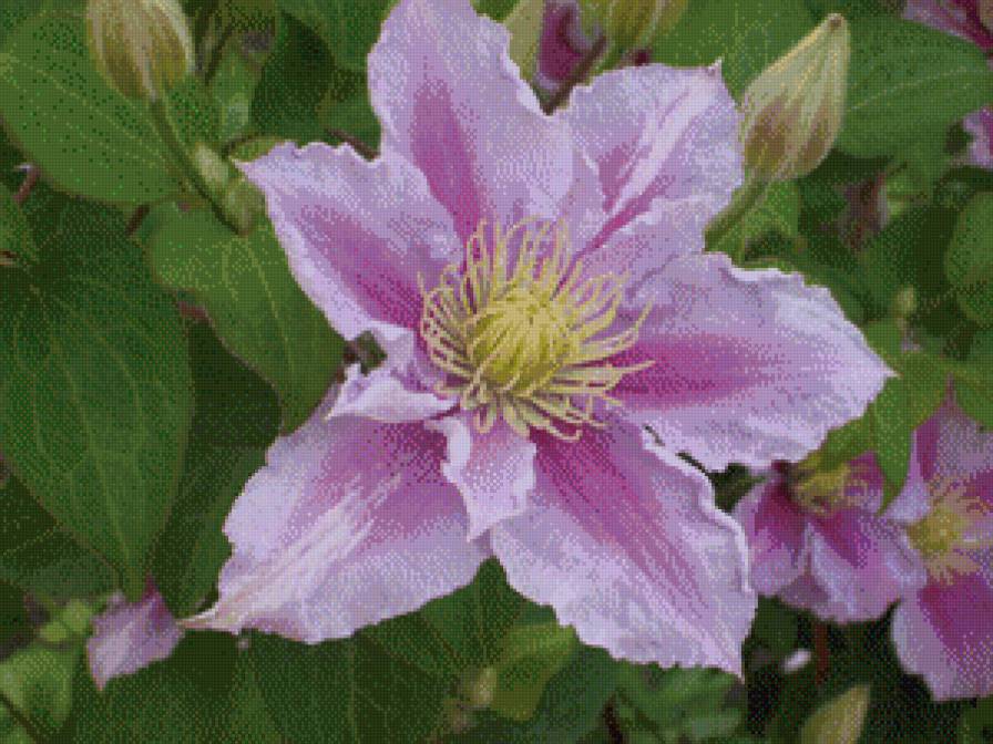 №917030 - предпросмотр