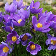 Схема вышивки «№917034»