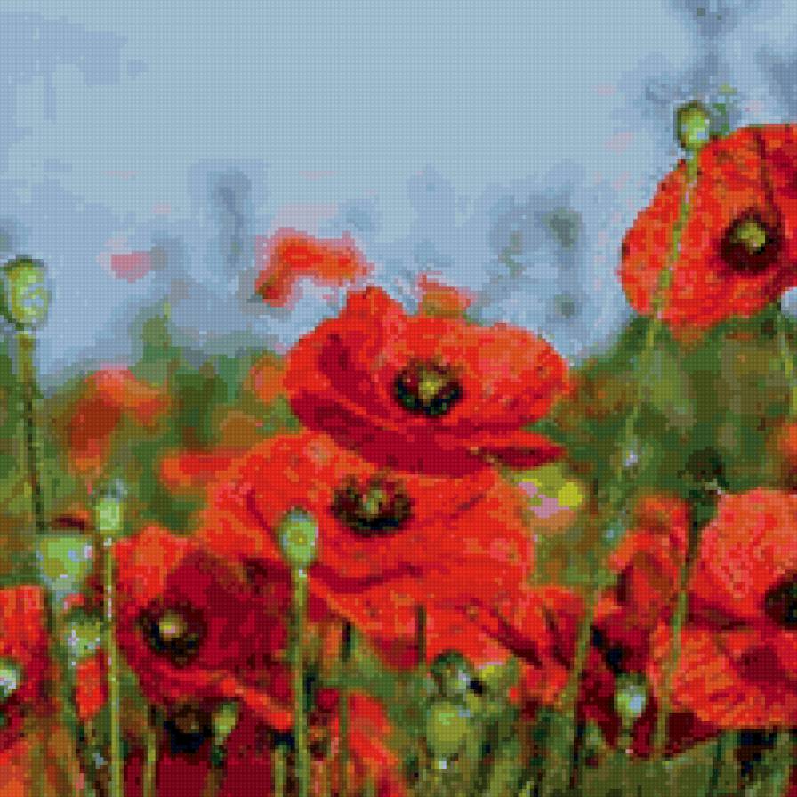 маки - цветы - предпросмотр