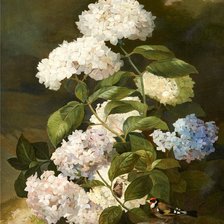 Схема вышивки «гортензия»