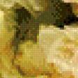 Предпросмотр схемы вышивки «розы» (№917268)