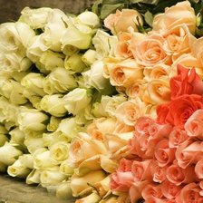 Схема вышивки «розы»