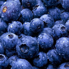 Схема вышивки «черника»