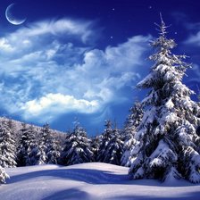 Схема вышивки «зимний лес»