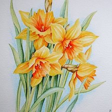 Схема вышивки «нарцызы»