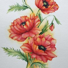 Схема вышивки «маки»