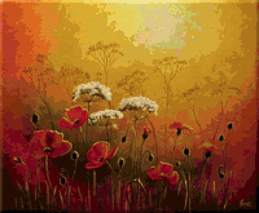 маки - цветы - предпросмотр