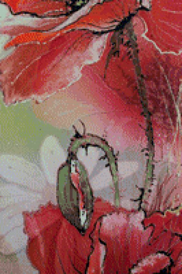 мак - цветы - предпросмотр