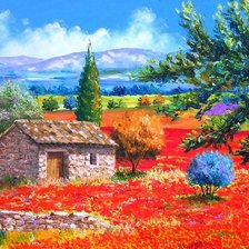 красочный прованс