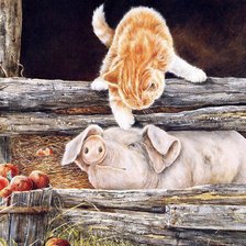 поросенок и кот