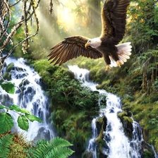 Схема вышивки «№917683»