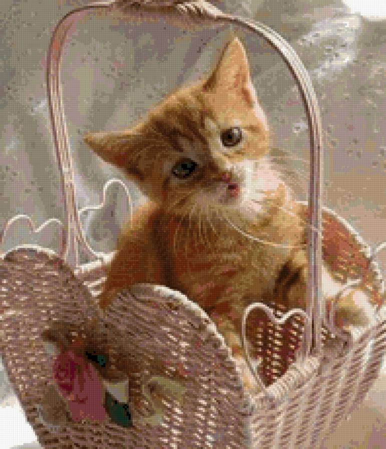 gatito - animales - предпросмотр