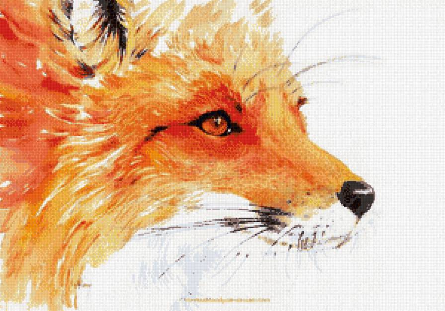 Лис - дикие животные, лиса - предпросмотр