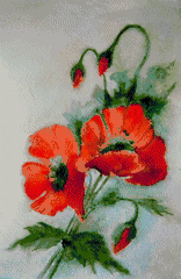 maki1 - предпросмотр