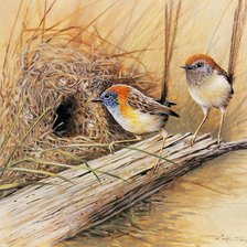 Схема вышивки «пара птичек у гнезда»