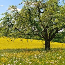 Схема вышивки «летний пейзаж»