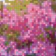 Предпросмотр схемы вышивки «Сирень на восходе солнца, в гамме» (№918113)