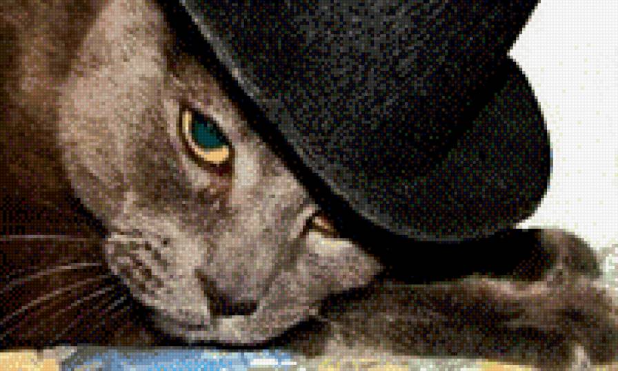 кот в шляпе - предпросмотр