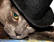 Схема вышивки «кот в шляпе»