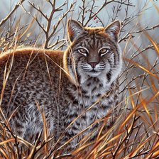 Схема вышивки «№918496»