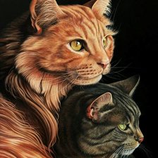 Схема вышивки «№918498»