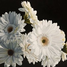 Схема вышивки «ромашки»