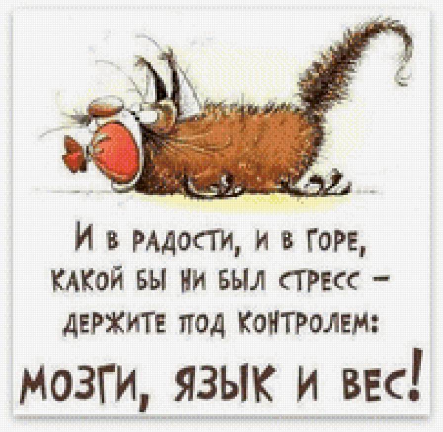 под контролем - фразы - предпросмотр