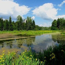 Схема вышивки «Речка в подмосковном лесу»