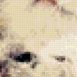 Предпросмотр схемы вышивки «котик» (№918913)