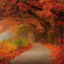 Схема вышивки «Красная осень»