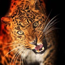 Схема вышивки «ты мой обед»