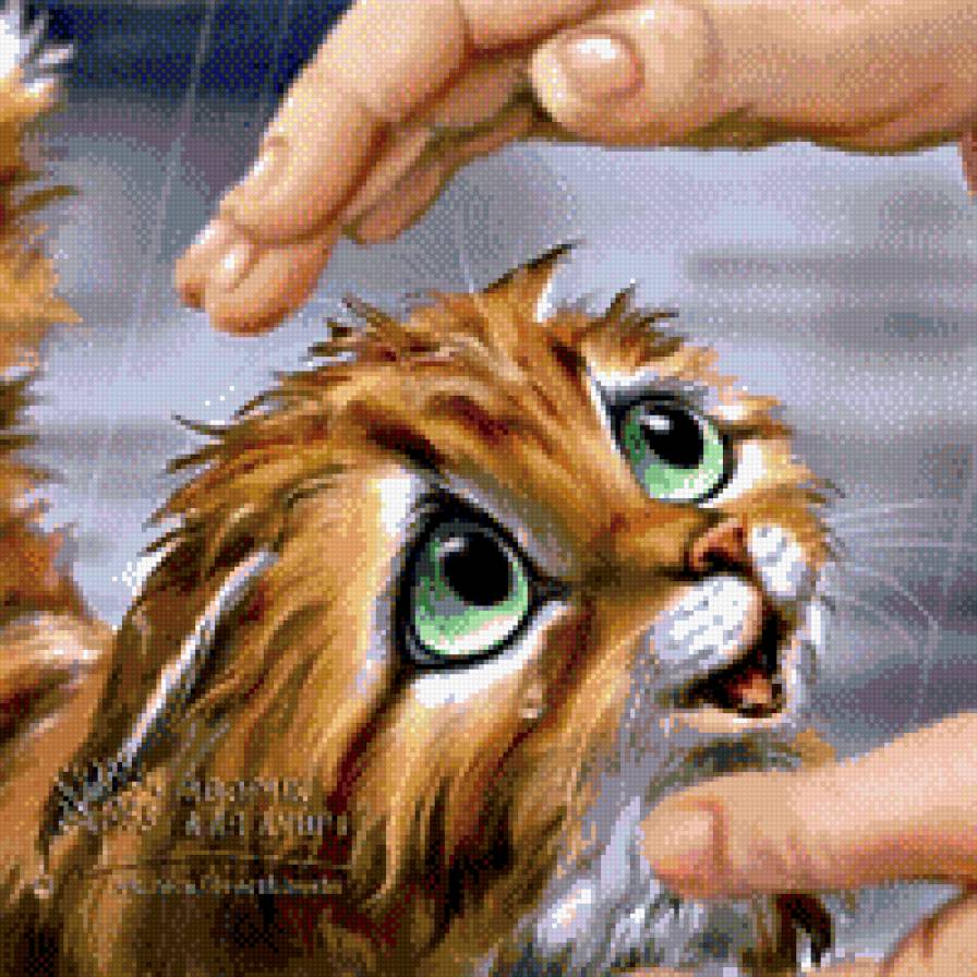 котёнок - люди, животные - предпросмотр