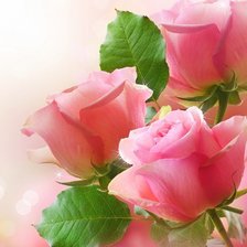 Схема вышивки «нежность»