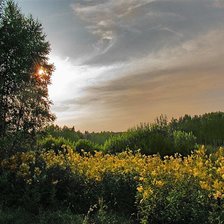 Схема вышивки «Летний закат»