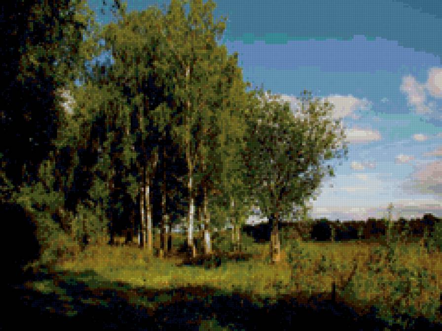 Летний пейзаж - природа, березы, пейзаж - предпросмотр