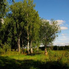 Схема вышивки «Летний пейзаж»