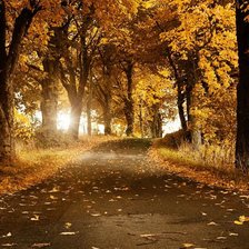 Схема вышивки «Осенний пейзаж»