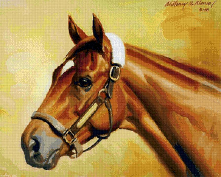 красавица лошадь - конь, природа, лошадь, животное, живопись - предпросмотр
